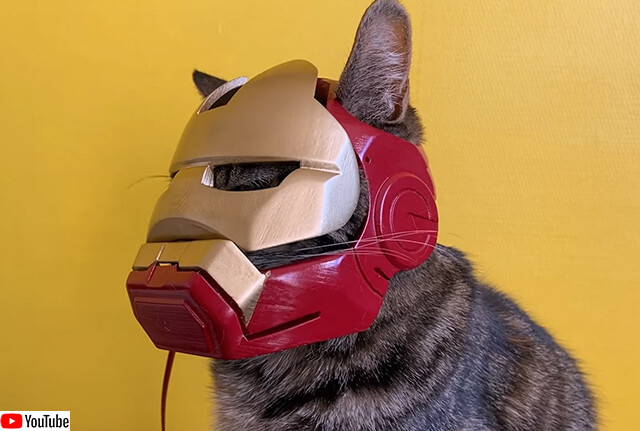 最強の猫になるための「アイアンキャット」ヘルメットを3Dプリンターで作成