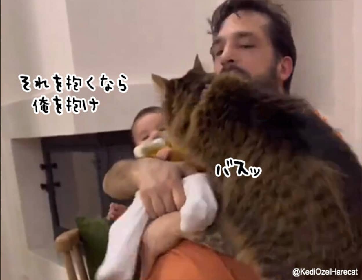 赤ちゃんに嫉妬する猫、自分も抱っこを迫る
