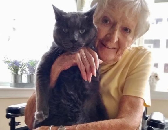 老猫とおばあさんが最高のパートナーに