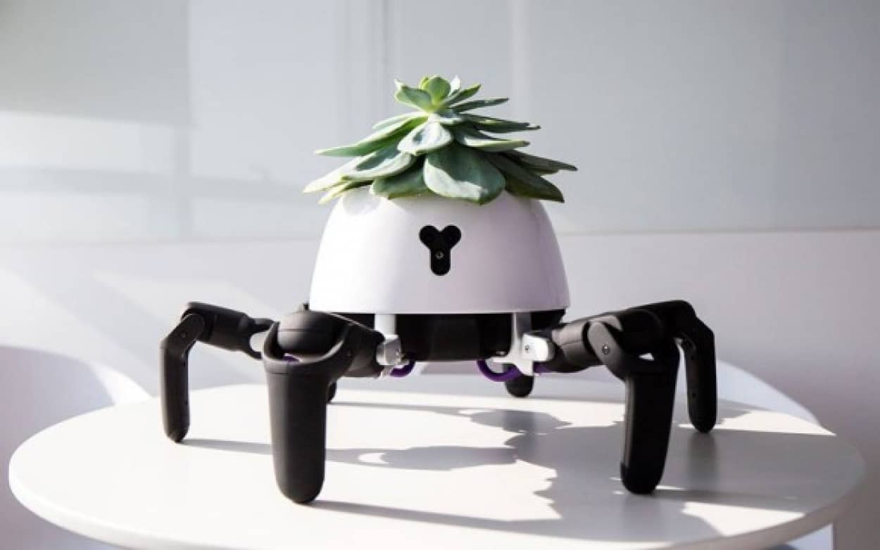 さ 光合成しにいくよ 頭に乗せた植物を日光浴させたり 水やりのタイミングを動きで知らせる植物育成ロボット カラパイア