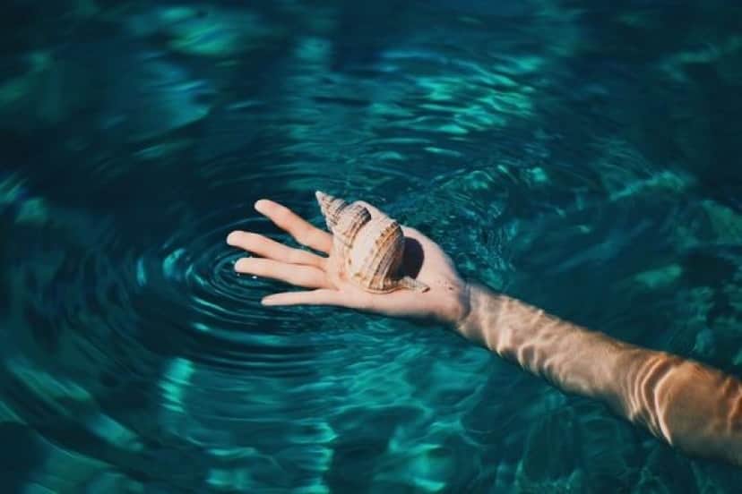 hand_pixabay