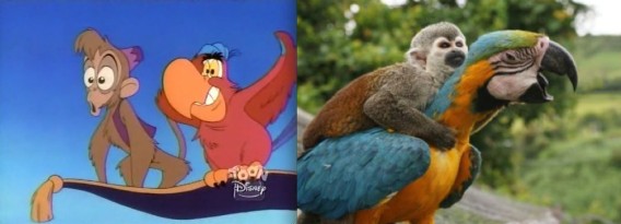 ディズニーアニメに出てくるあのシーンを実際の動物たちで再現したらより素敵になった カラパイア