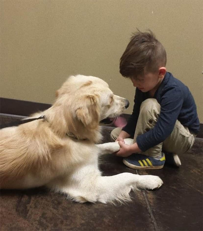 cute-kids-dogs-best-friends-friendship-21-5a980764eb7a9__605_e