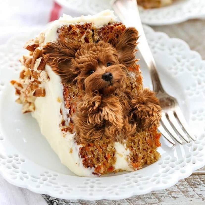 おいしそうすぎてヤバい 犬と食べ物を融合させたインスタグラムアカウントが大人気 カラパイア おいしそうすぎてヤバい 犬と食べ物を融合させたインスタグラムアカウントが大人気 カラパイア