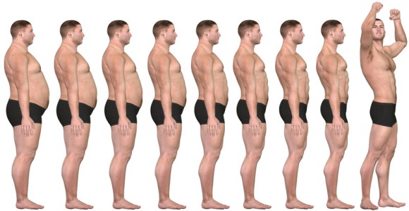 理想のボディづくりは自分でもできる 体脂肪を減らす為に知るべき15のこと カラパイア