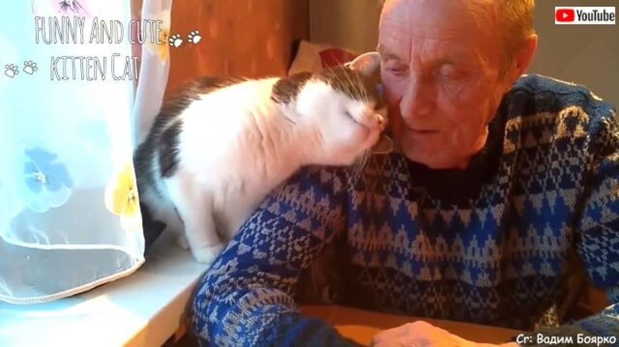 キスもハグもまだ足りないよ 猫たちの 大好き 攻撃にメロメロとろける飼い主たち カラパイア キスもハグもまだ足りないよ 猫たちの 大好き 攻撃にメロメロとろける飼い主たち カラパイア
