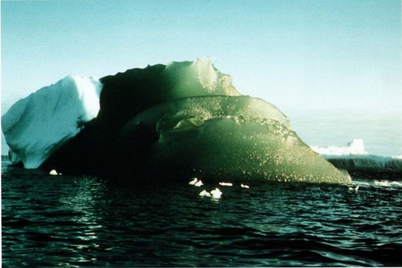 なぜエメラルドグリーン 南極にある緑色の氷山の謎 米研究