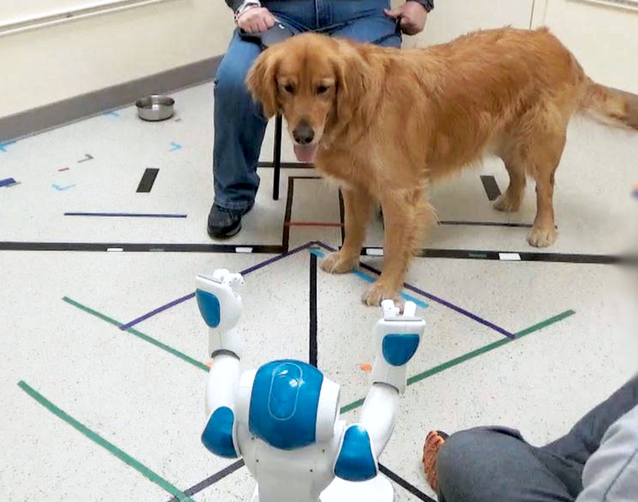犬とロボット