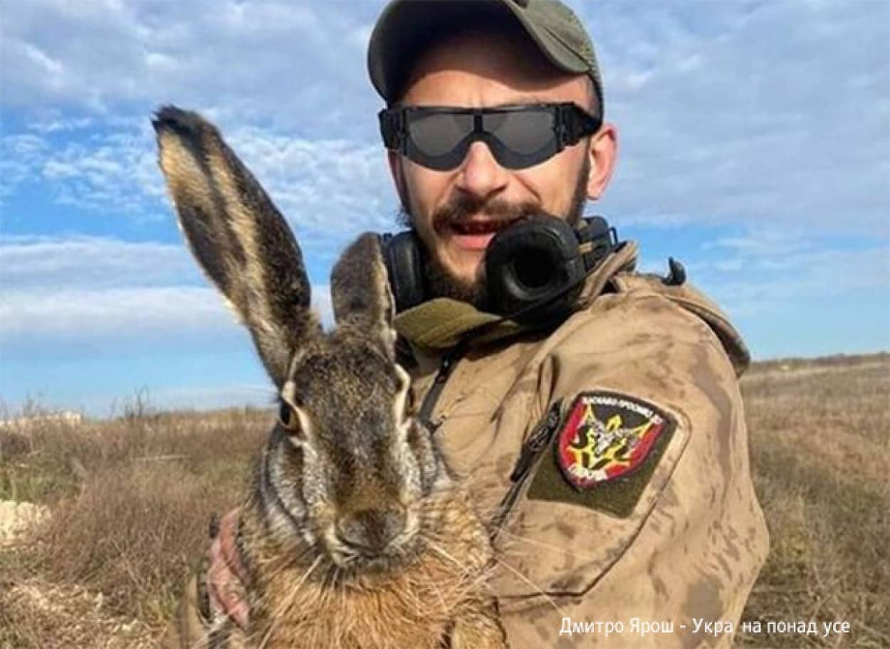 あまりの大きさにカンガルーかと思ったらウサギだった。ウクライナ兵が巨大ウサギと遭遇