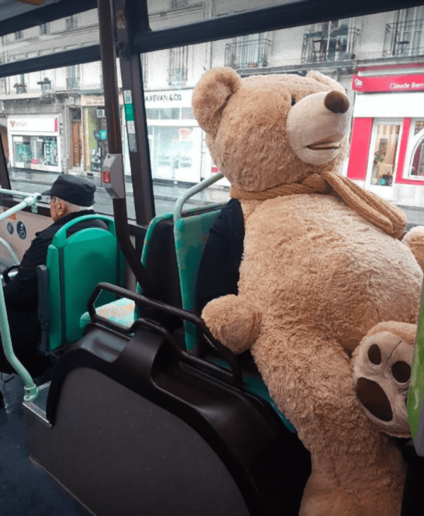 bear8