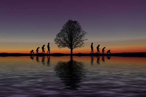 evolution-3871223_640_e