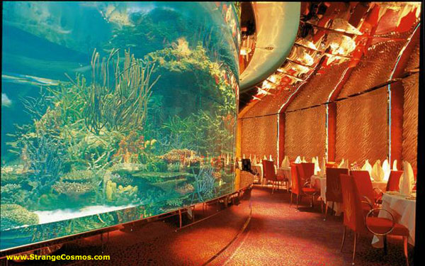 世界最大の水槽を持つ水族館 ドバイ アクエリアム カラパイア