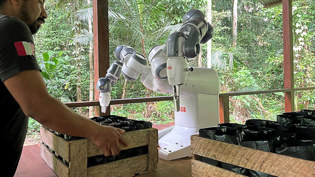 森にたくさんの緑を！コツコツと2本の腕で種を植え、アマゾンの緑化に貢献するロボット