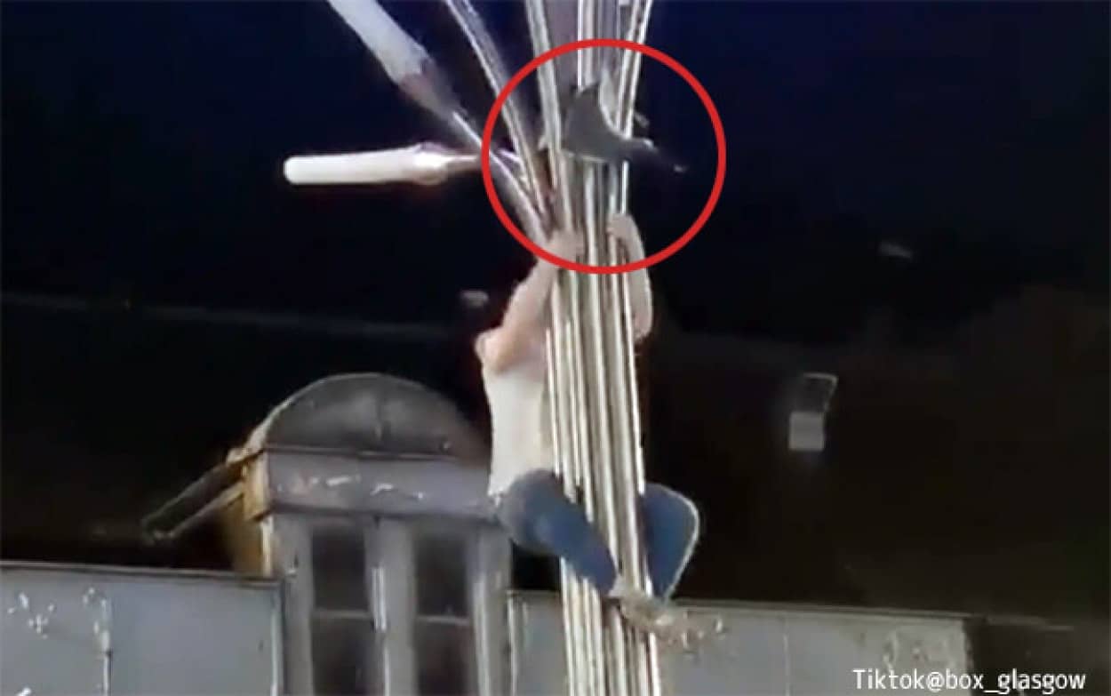 街灯に登りカモメを助ける男性
