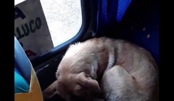 asleep