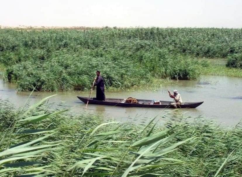 Marsh_Arabs_in_a_mashoof_e