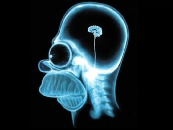 8_e45