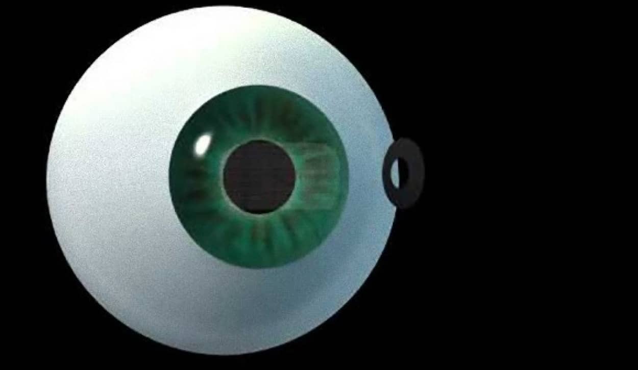 4_e5