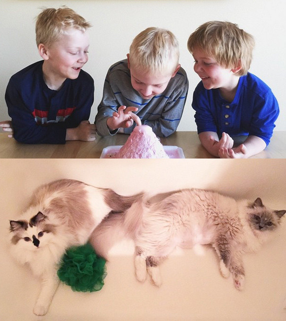 20