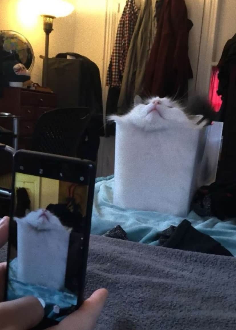 2_e0