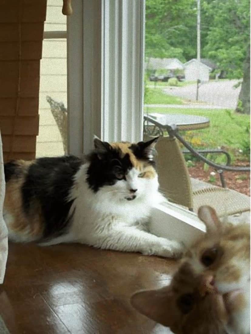 photobomb13_e