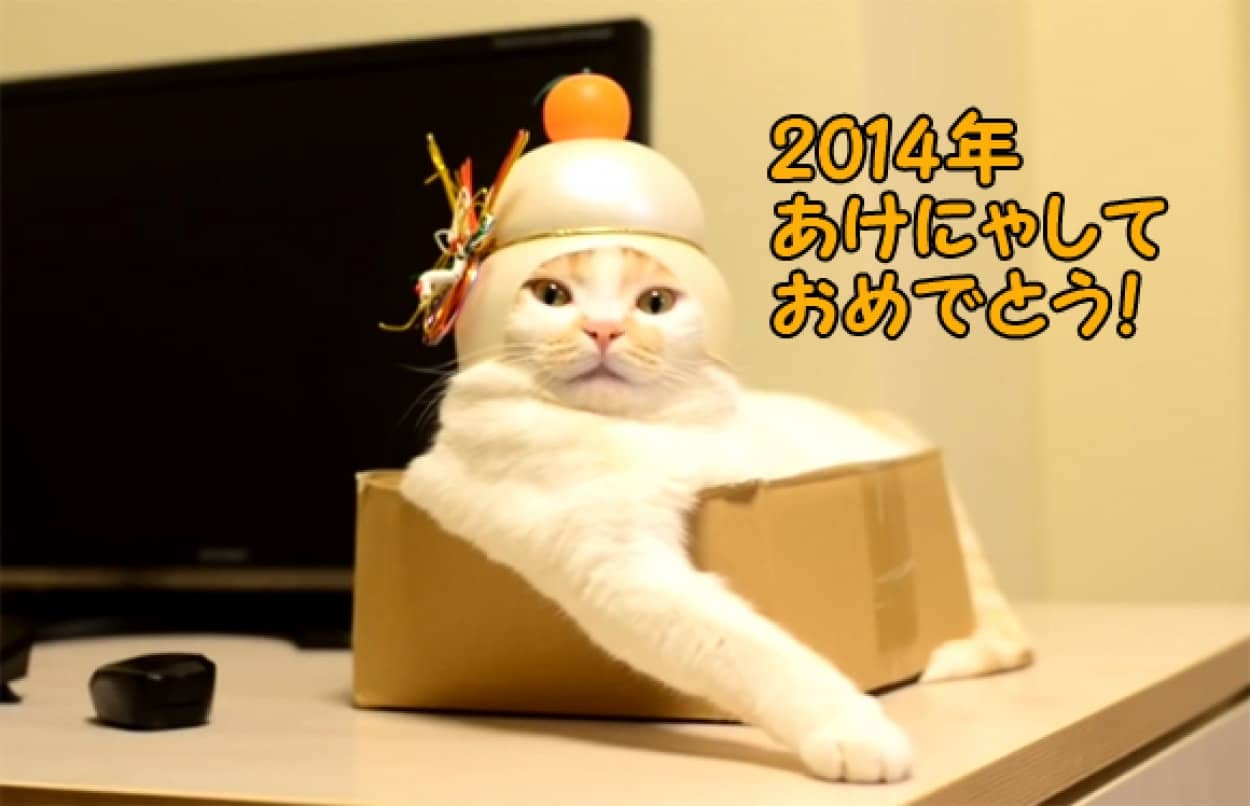 鏡餅となった猫が箱の中から あけにゃしておめでとう カラパイア