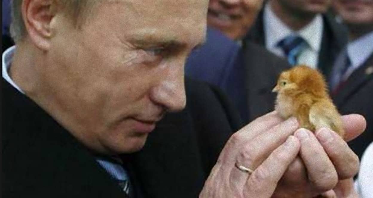 プーチンとプーチンがてなずけた動物たち 枚の写真 カラパイア