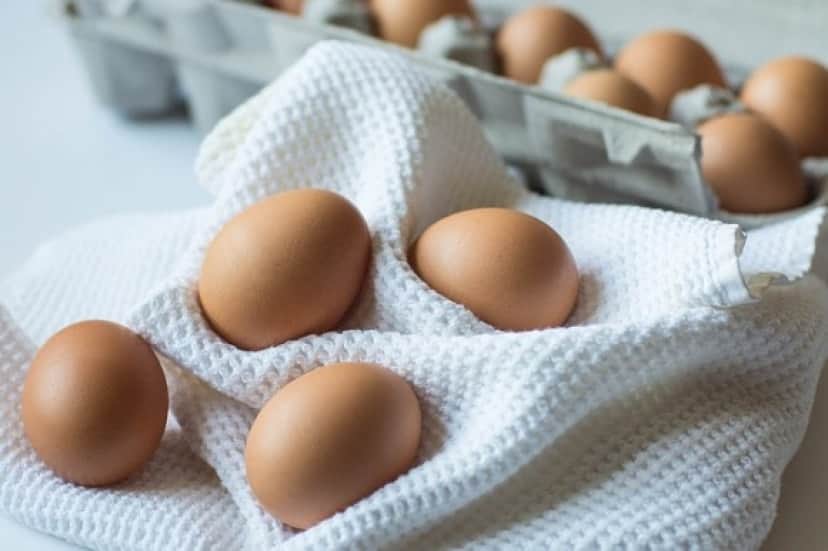 eggs-1111587_640_e