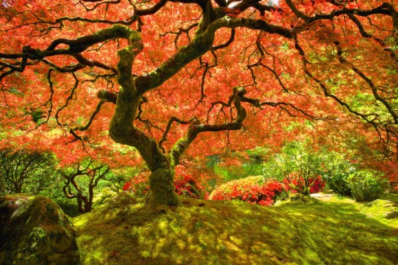 無料ダウンロード 秋景色画像 最高の画像画像