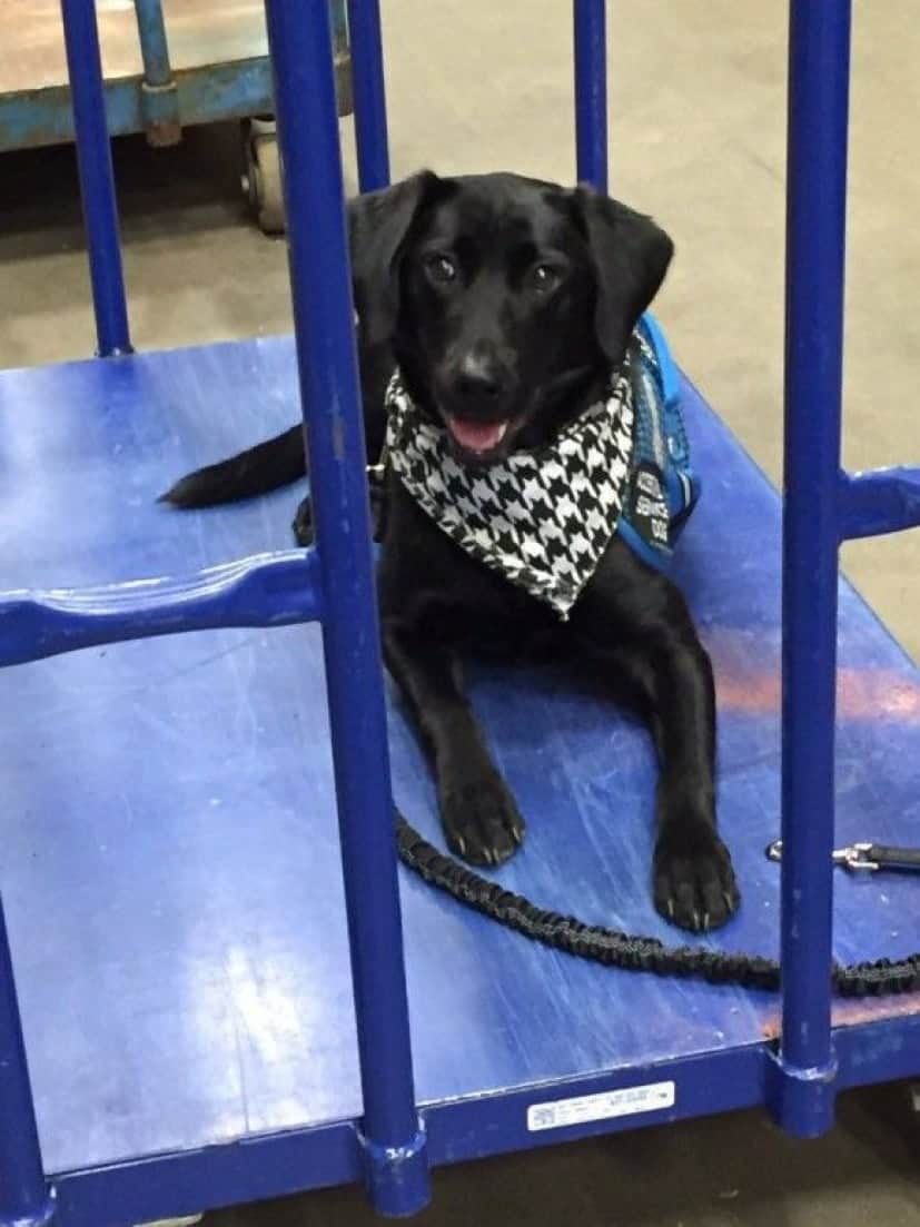 cage_e