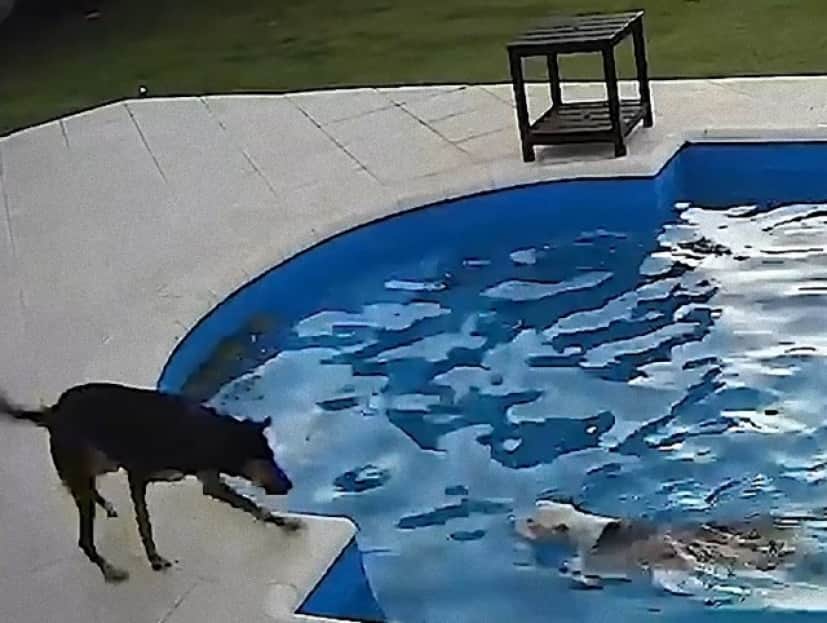 pool3_e