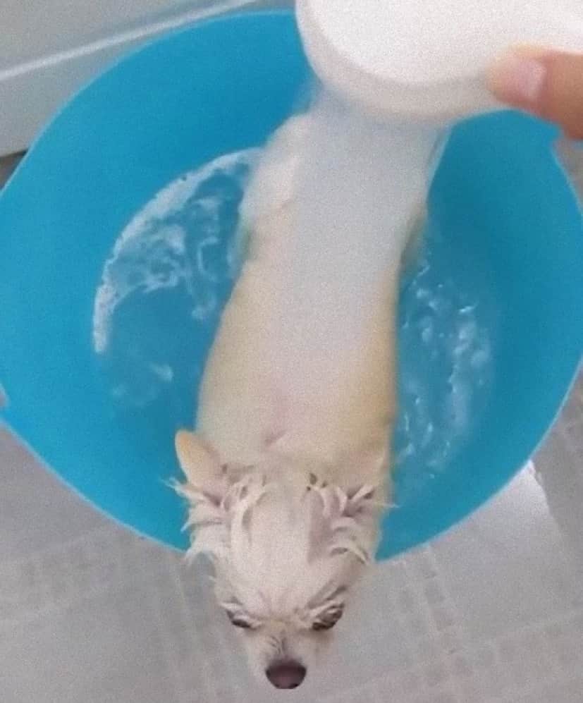 bath5_e