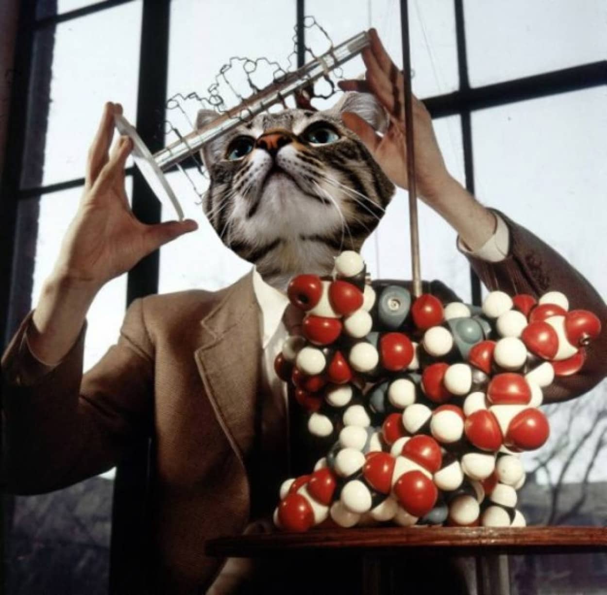 あらやだ知的 猫を1960年代風の科学者や技術者に仕立て上げてみたコラ画像 カラパイア