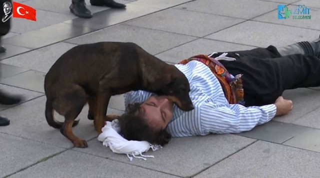 横たわる演技をしている俳優を助けようとする野良犬