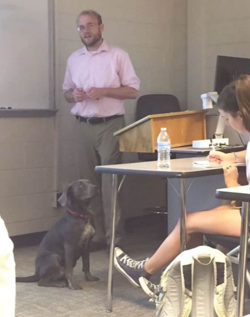 professor7_e