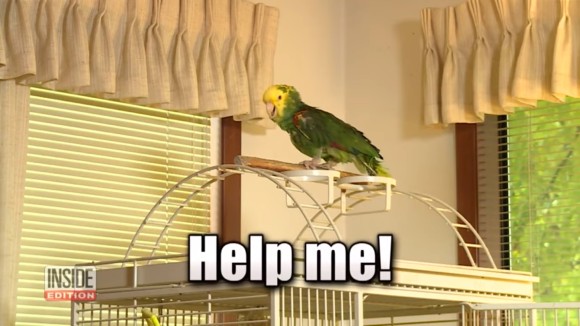 help_me