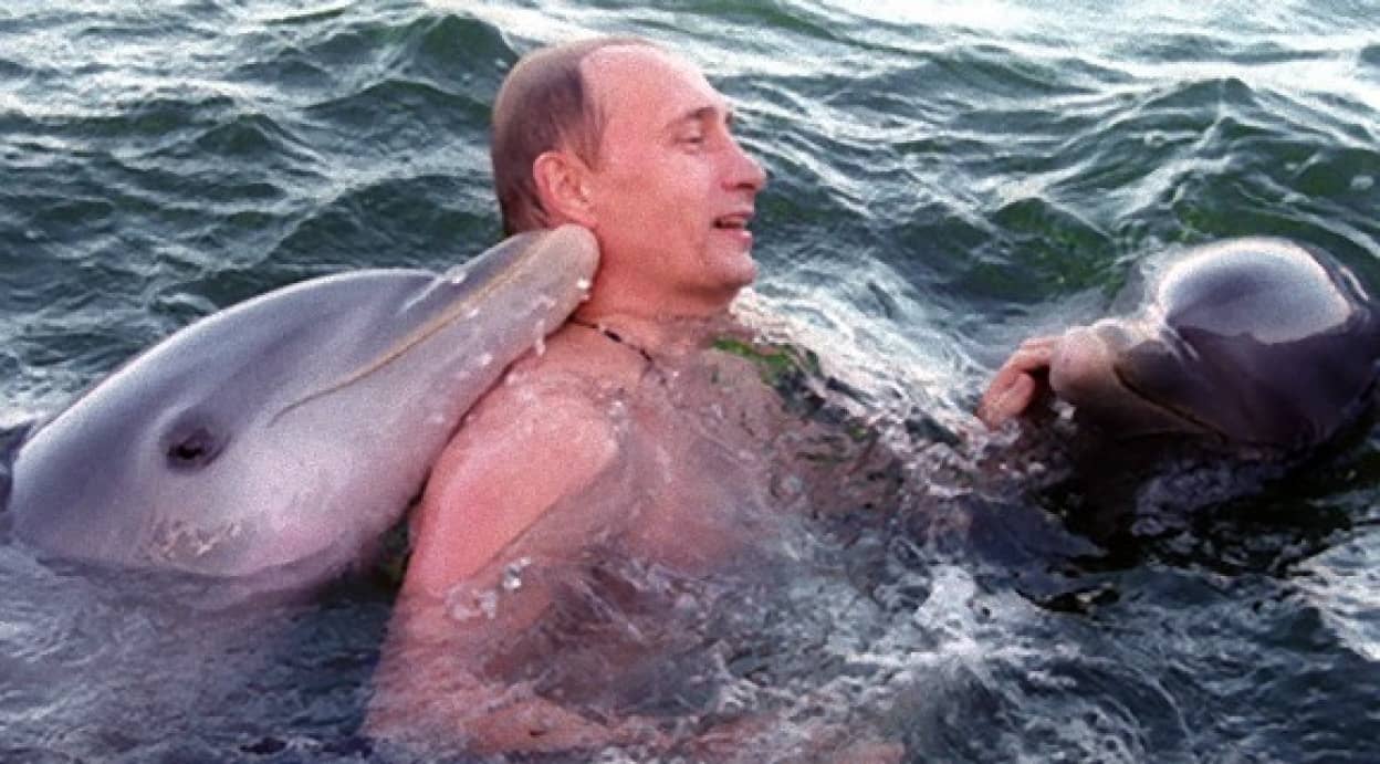 クリミアで押収された軍用イルカ プーチン大統領直属の部隊にすることを正式発表 ロシア カラパイア クリミアで押収された軍用イルカ プーチン大統領直属の部隊にすることを正式発表 ロシア カラパイア