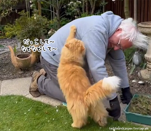 愛が溢れすぎ！おじいさんと猫の最強タッグ（こんな動画だけ見ていたい）