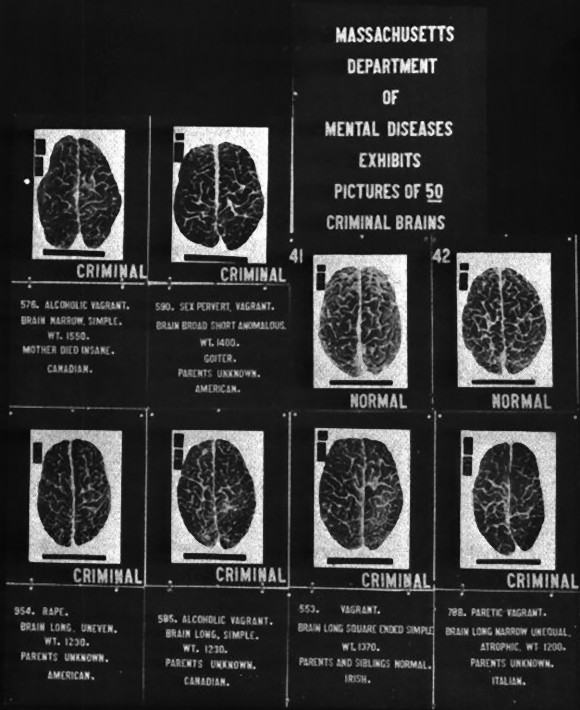 489px-Criminal_brains_e