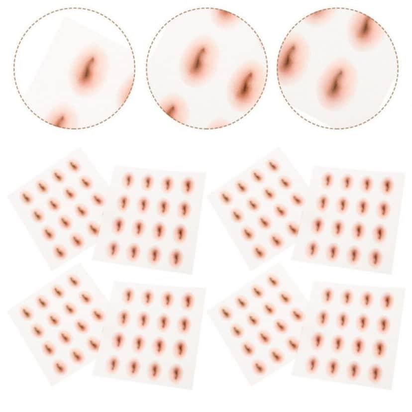 3_e0