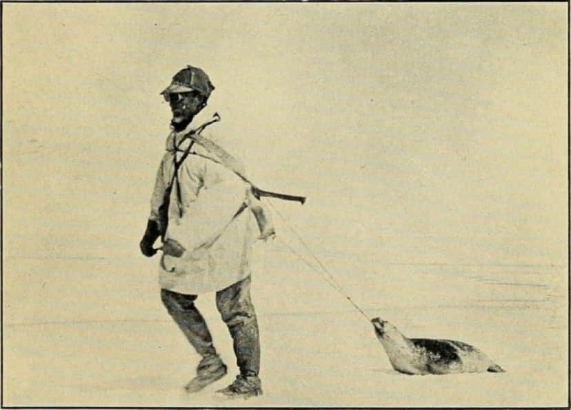 人は肉だけで生きられるのか イヌイットの食事を参考に全肉食を試みたカナダ人探検家 ヴィルヤルマー ステファンソン カラパイア