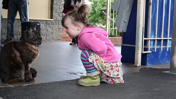 290767-amelia-and-graeme