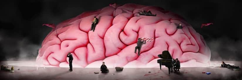 brain-ged0771a23_640