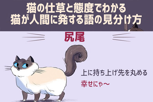 猫は雄弁 尻尾や仕草 鳴き声で多くを語る 猫語 を理解するためのイラスト カラパイア