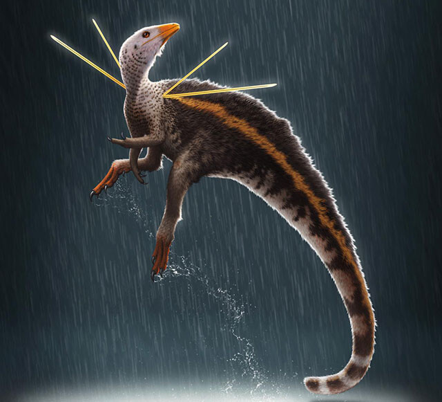 肩から針が突き出た新種の恐竜が発見される。その名は「神の槍」（ブラジル）