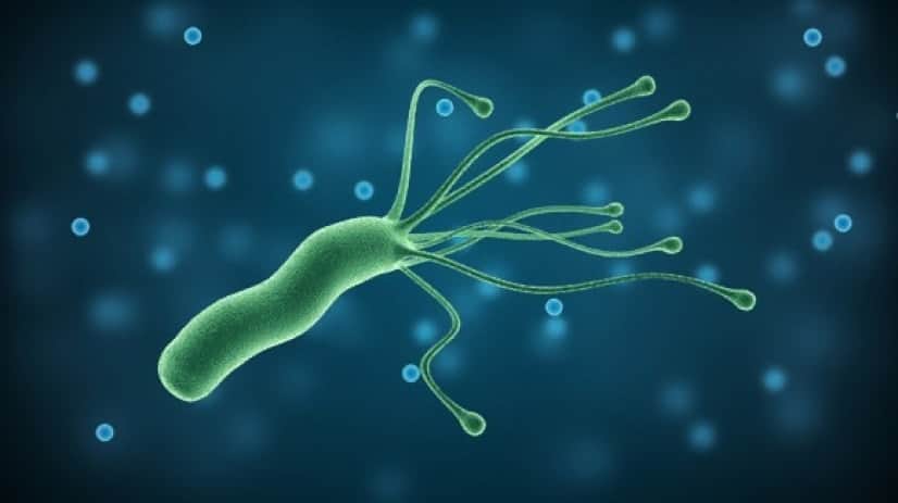 iStock-869398334_e_e