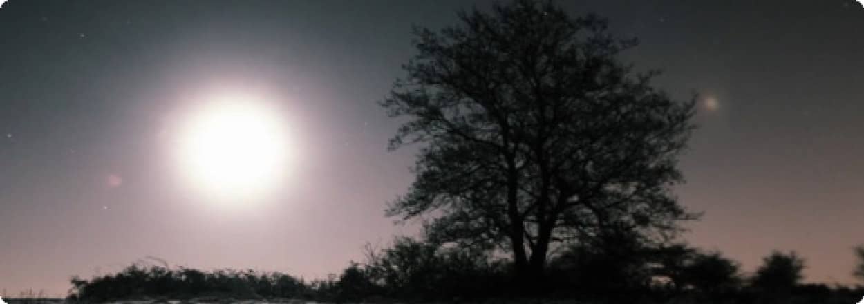 森林ファンタジー スコットランド ギャロウェイの森にかかる美しい夜景 高画質 カラパイア 森林ファンタジー スコットランド ギャロウェイの森にかかる美しい夜景 高画質 カラパイア