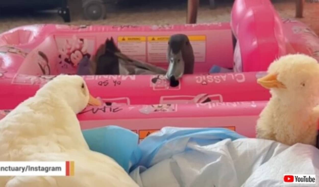 20230624_172927 (3)_batch