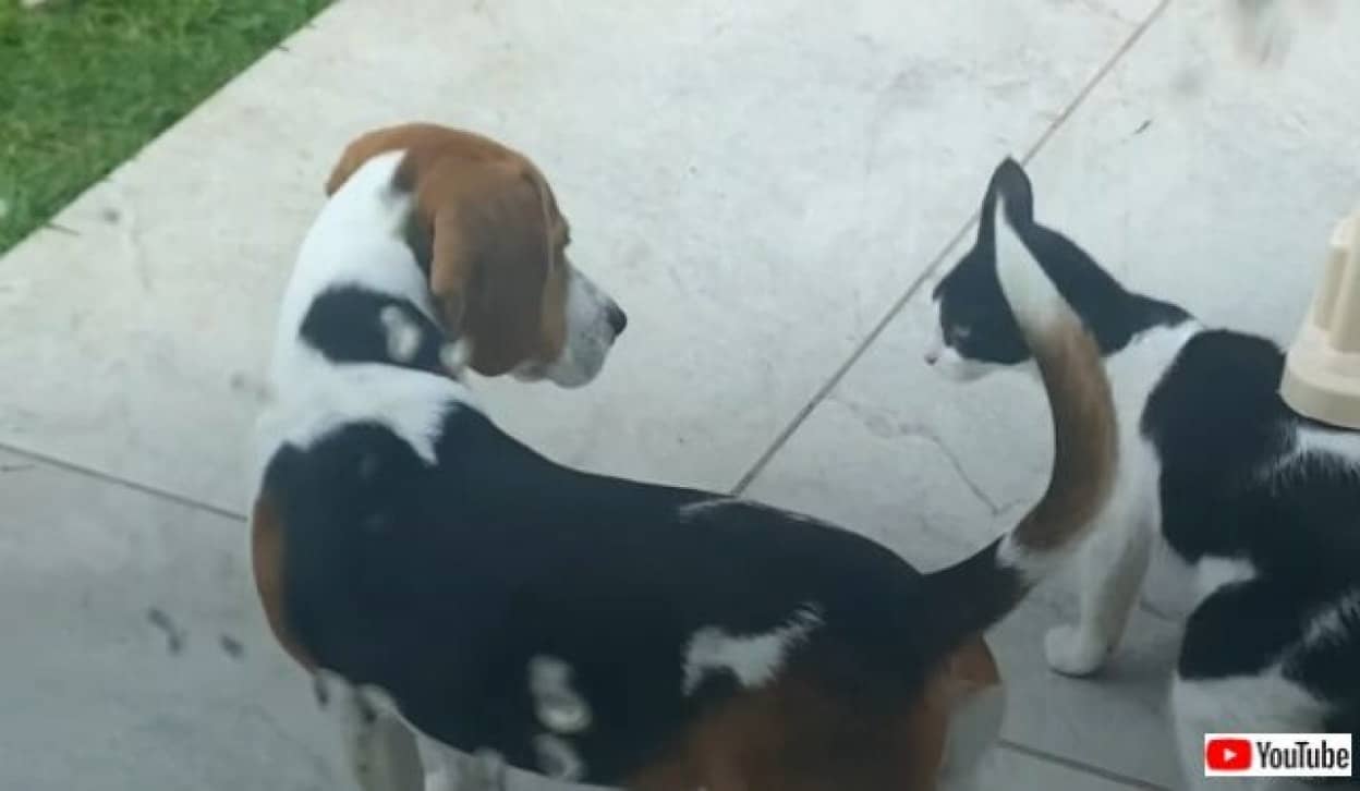 20220615_185527_batch