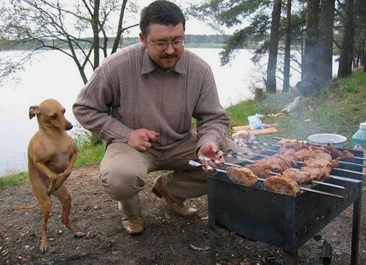 犬と食べ物の不確かな関係がわかる15の面白写真 カラパイア